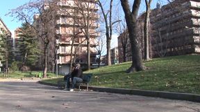 Cougars in Heat for Big Cocks