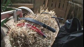 Zucht u Ordnung 2 (Full Movie)