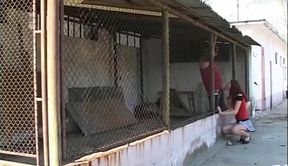 German Amateurs Fuck Parties and Wet Pussies