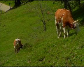 Busty German babe enjoys stunning anal outdoor orgy