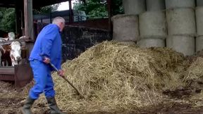 Learn to Ride with the Horny Farmers on Their Farms and in the Barns