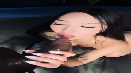 Big Titty Asian Chick Fucks Bug Black Dick